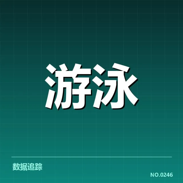 参赛选手及赛程具体情况